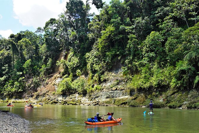 2-Day Kayaking Adventure in the Amazon - Kayaking Experience