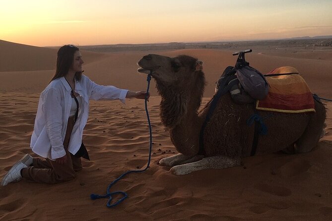 2 Day Luxury Desert Tour From Fes to Fes or Marrakech - Pickup and Drop-off Details