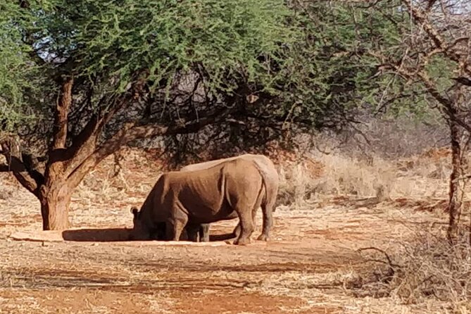 2-Day Private Guided Tour to Tarangire and Ngorongoro - Meeting and Pickup Details