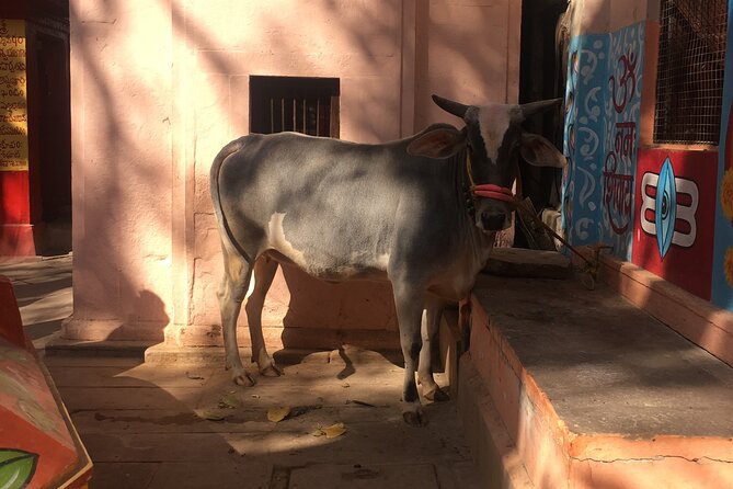 2 Day Private Mystical Varanasi Tour - Inclusions and Exclusions