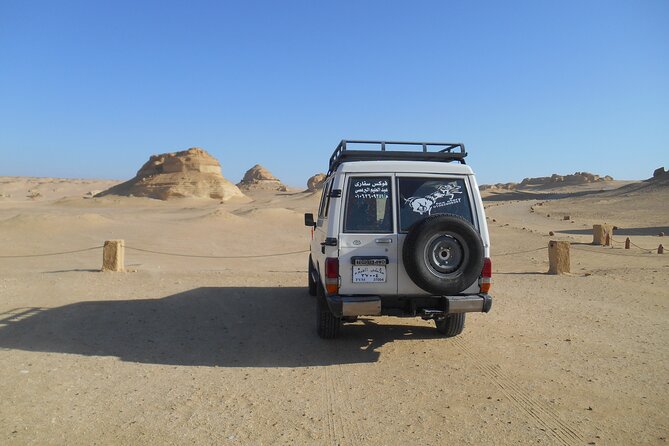 2 Day Safari in the White and Black Desert - Bedouin Camping Experience