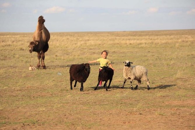 2 Day Semi-Gobi Tour With Nomads and Free Camel Ride - Reviews and Feedback