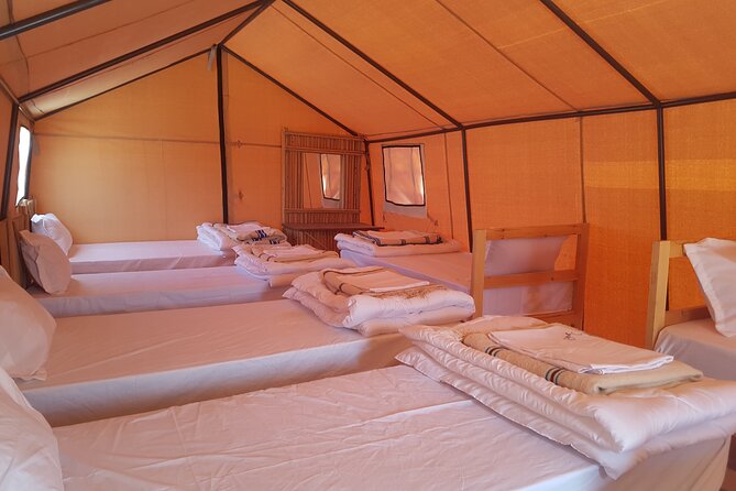 2-Day Tunisia Sahara Desert Camel Trek From Douz - Itinerary Highlights