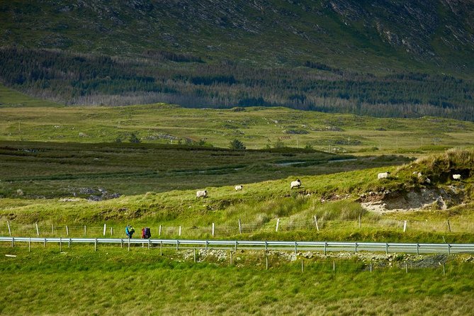 2-Day Western Ireland Tour From Dublin:Including Galway and Cliffs of Moher - Booking and Reservation