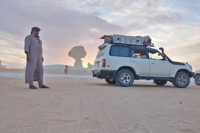 2-Day White Desert View Private Tour - Health and Safety Guidelines