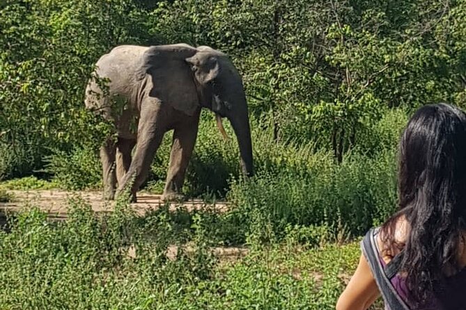 2 Days (1 Night) Elephants Safari at Mole Park With Round - Trip Flights - Health and Accessibility Information