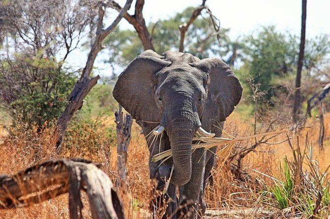 2 Days / 1 Night Join Group Safari - Excluded From the Safari
