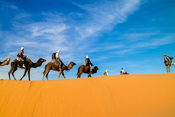 2 Days/1 Night Sahara Desert Trip: Fes - Merzouga - Fes - Meeting and Pickup
