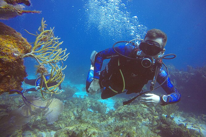 2 Days Class: SDI Open Water Diver Certification in Cancun - Booking Information