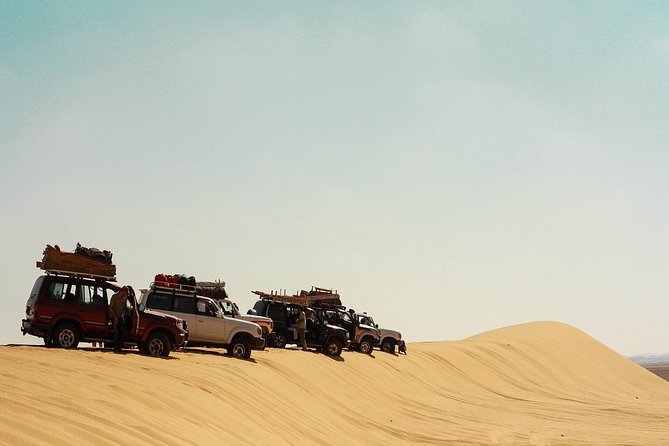 2 Days Desert Safari Trip to Fayoum Oasis From Cairo - Inclusions and Amenities