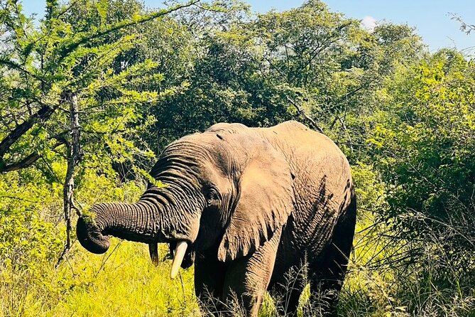 2 Days in Akagera National Park - Health and Safety Considerations