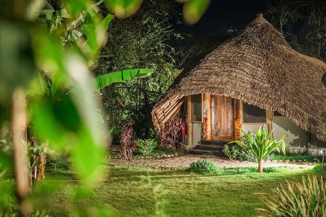 2-Days Private Midrange Safari From and to Zanzibar - Exclusions to Consider