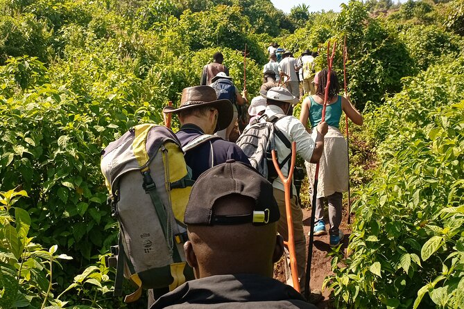 2 Days Sipi Falls Hike and Coffee Tour - Accommodation and Meals