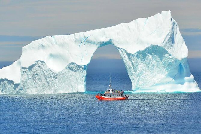 2 Hour Boat Tour in Twillingate - Amenities on Board