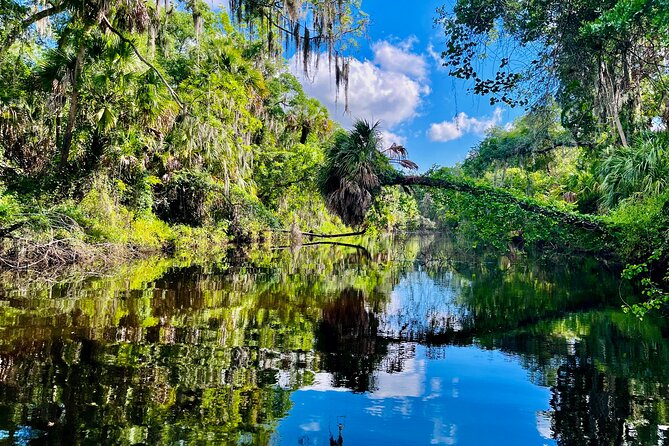 2 Hour Guided Stand up Paddle Board Tour Along Upper Manatee River - Paddleboarding Experience