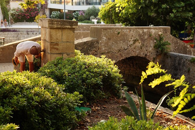 2-Hour Guided Walking Tour in Mlini - Accessibility and Participation