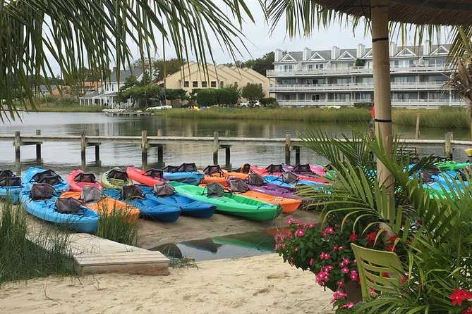 2-Hour Paddleboard Rental in Rehoboth Bay - Meeting Point Information