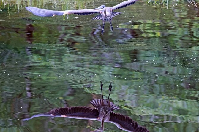 2-Hour Wildlife and Culture Small Van Excursion - Cultural Insights and Local Heritage
