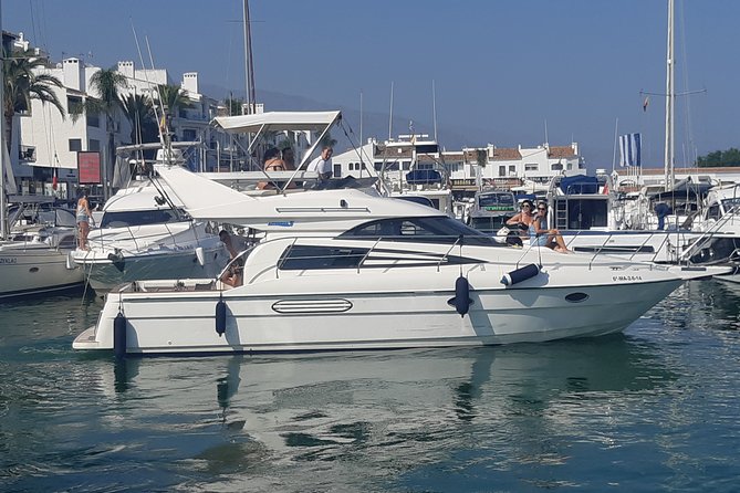 2 Hours Dolphin Watching in Marbella - Exploring the Underwater World