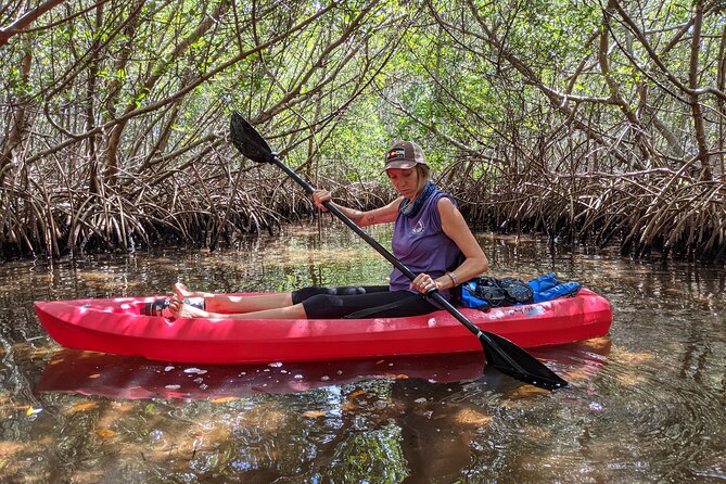 2 Hours Kayak Eco Tour in Tarpon Springs - Customer Reviews
