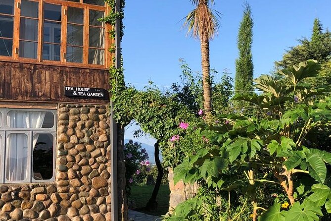 2 Hours Tea House and Tea Garden Trip in Ozurgeti Georgia - Reviews and Ratings