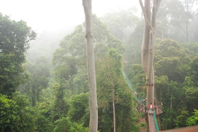 2-Night Danum Valley Borneo Rainforest Lodge Hiking and Wildlife Adventure - Included Activities