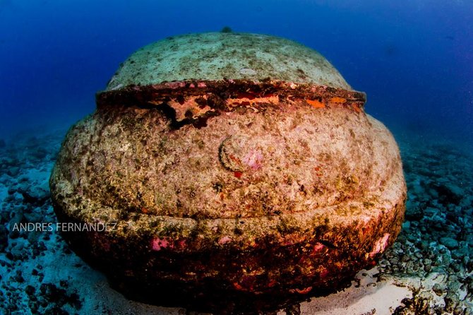 2 Tank Dives MUSA and Manchones Reef (Certified Divers) - Meeting and Pickup Information