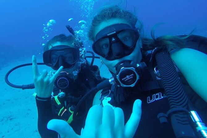 2 Tank Shore Dive at Sea Turtle Cove - Included in the Experience
