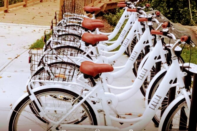 24 Speed Hybrid Road Bike Rental - Delivery Information