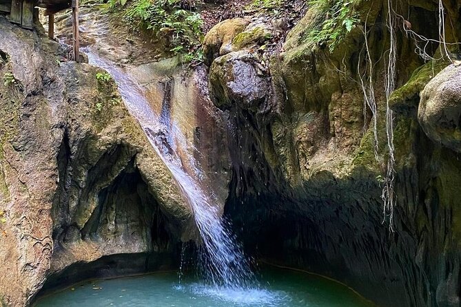 27 Waterfalls Adventure Private Tour in Charcos De Damajagua - Health and Safety