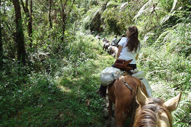 2D/1N Private Culture & Archaeological Tour in San Agustin - Frequently Asked Questions