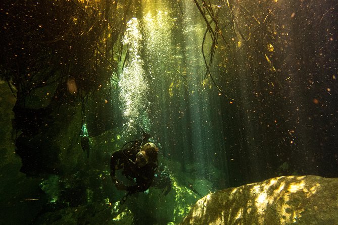 3 Cenote Dives - Casa & Dos Ojos - Meeting Point and Time