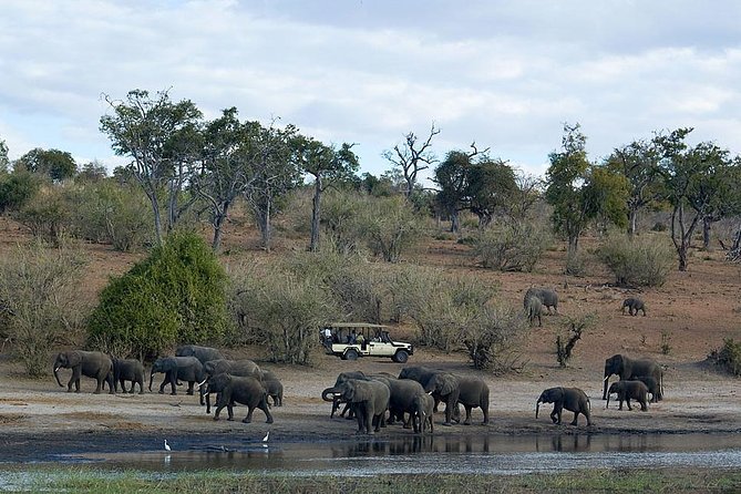 3 Day Chobe National Park Camping Safari - Highlights of the Safari