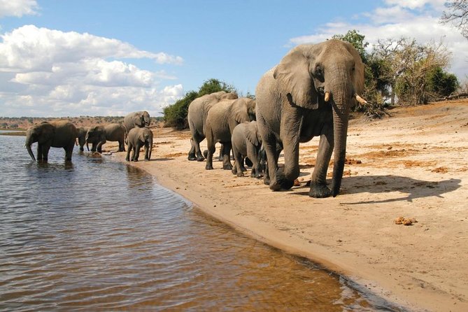 3 Day Chobe National Park Camping Tour - Dining Options