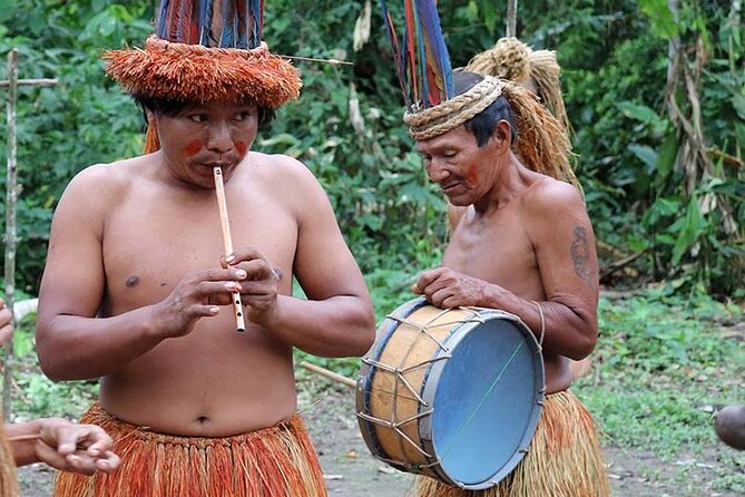 3-Day Jungle and Amazon River Tour From Iquitos - Accommodation and Meals