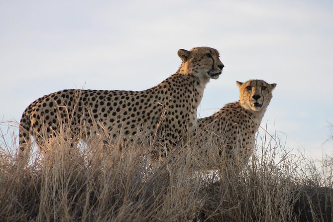 3 Day Kruger National Park Tour - Pickup and Meeting Details