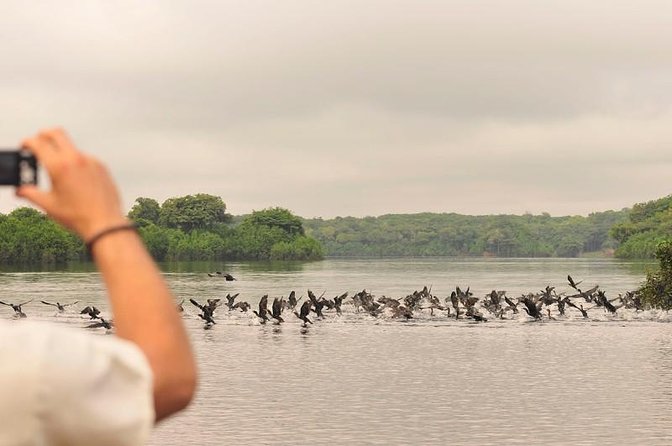 3-Day Manaus Amazon Jungle Adventure - Meeting and Pickup Details