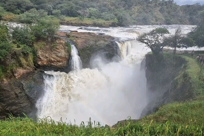 3 Day Murchison Falls BIG 5 and Wildlife Viewing Safari - Daily Itinerary Highlights