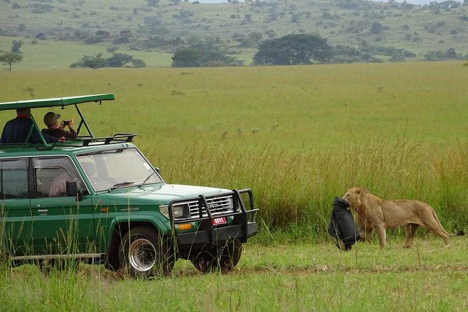 3-Day Murchison Falls National Park - Adventure Safari - Wildlife Spotting Safari Drives