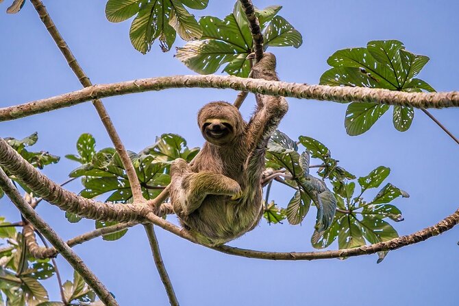 3 Day Pacaya Samiria Amazon Nature Reserve From Iquitos - Logistics and Transportation