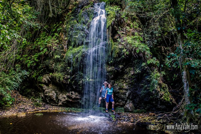 3-Day Private Hiking Trail in The Overberg - Culinary Experiences
