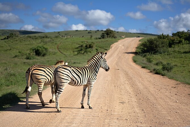 3 Days Amzing Safari in Tarangire and Nngorongoro - Itinerary Breakdown