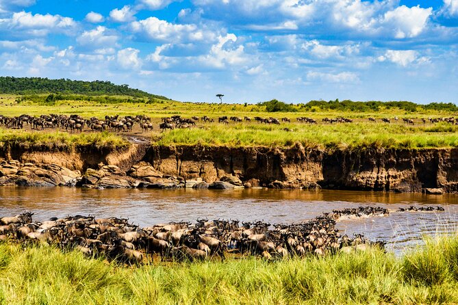 3 Days Maasai Mara Migration Safari - Accommodation and Meals