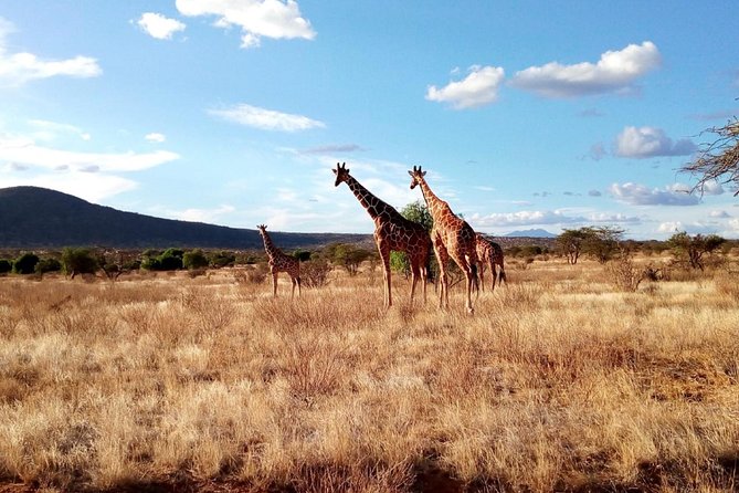 3 Days Maasai Mara Safari From Nairobi - Cancellation Policy