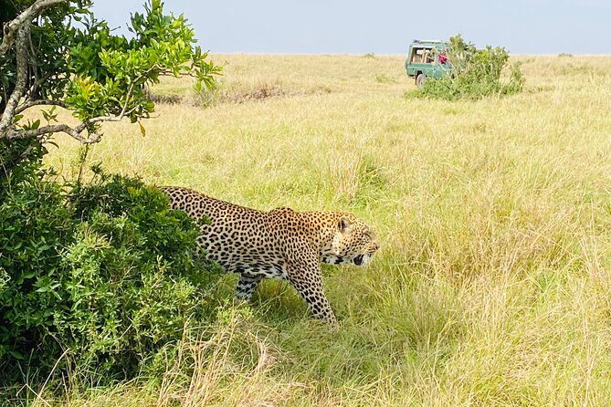3 Days Masai Mara Jeep Safari - Inclusions and Exclusions