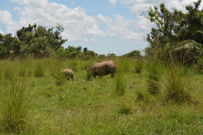 3-Days Murchison Falls Vacation Including Big 5 Sighting! - Pricing and Cancellation Policy
