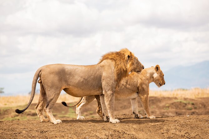 3 Days Private Mikumi National Park Wildlife Encounter Safari Tour - Included Meals and Amenities