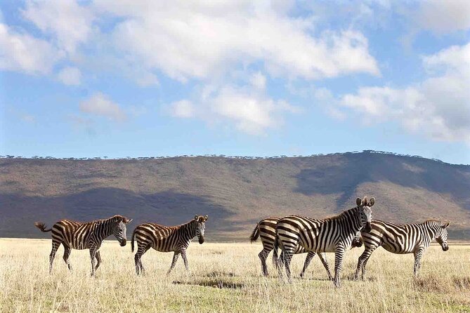 3 Days Safari Adventure to Serengeti and Ngorongoro in Tanzania, Africa - Transportation Features