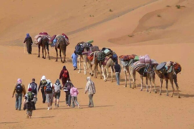 3 Days Tour From Marrakech to Merzouga - Pricing and Cancellation