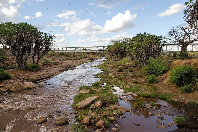 3 Days Tsavo East & Amboseli (2 Nights) - Reviews and Feedback